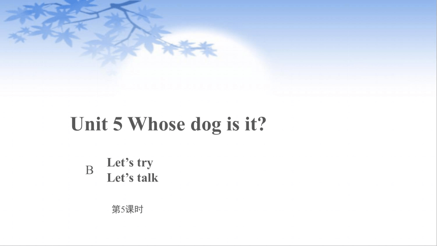 Unit 5 Whose dog is it？B Let’s try课件(共17张PPT)