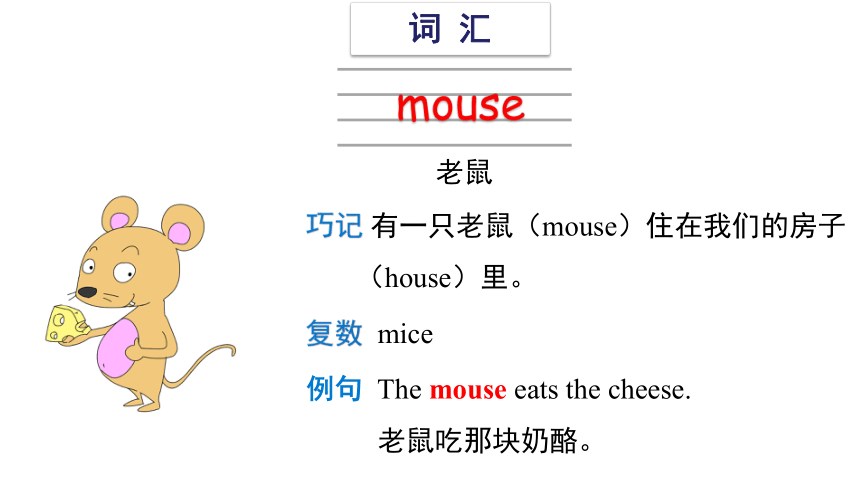 Unit 1 The lion and the mouse(复习课件)-2023-2024学年六年级英语下学期期中核心考点集训