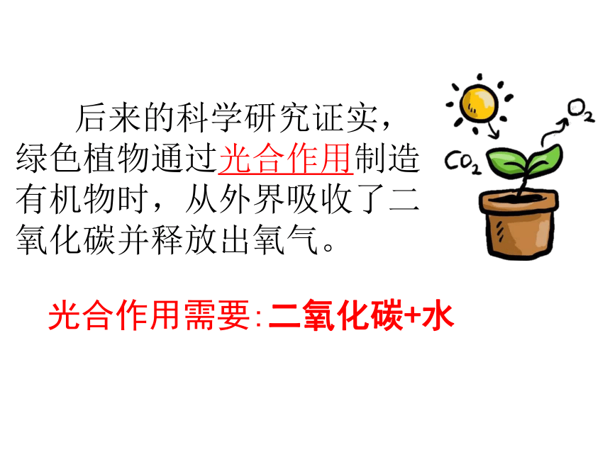 3 5.1光合作用吸收二氧化碳释放氧气课件(共32张PPT)2022--2023学年人教版生物七年级上册