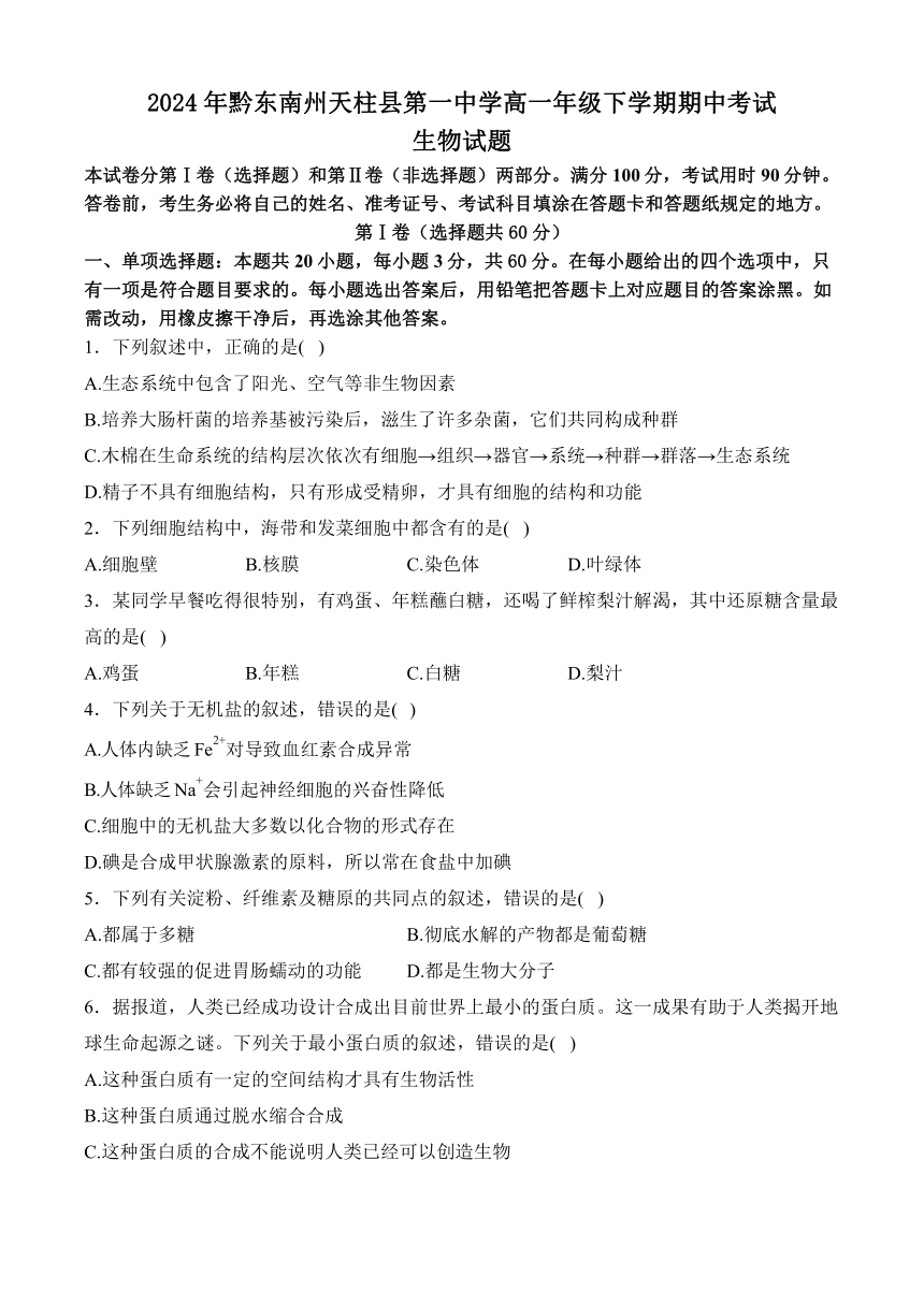 2024年黔东南州天柱县第一中学高一年级下学期期中考试（含答案）