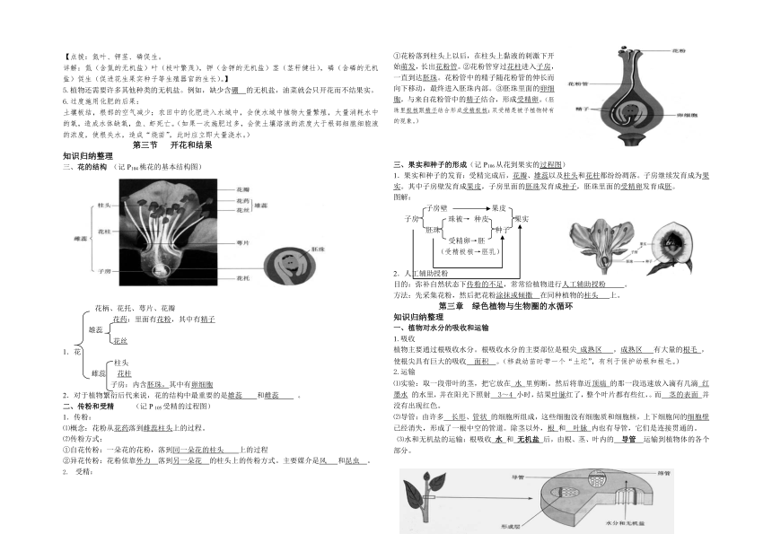 第三单元 生物圈中的绿色植物 知识总结