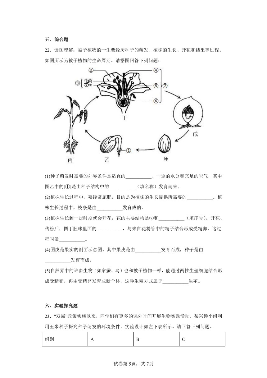 人教版生物七年级上册 3.4 被子植物的一生同步练习（附解析）