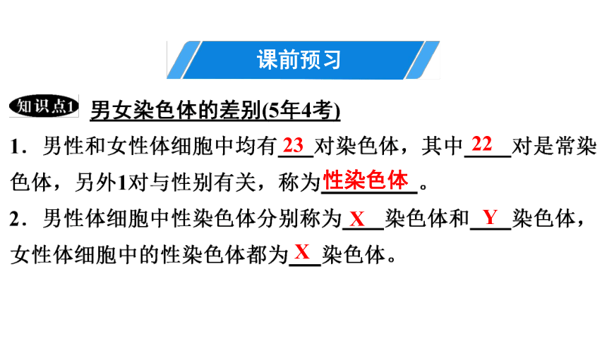 7.2.4 人的性别遗传 课件(共26张PPT)2023年春人教版八年级生物下册