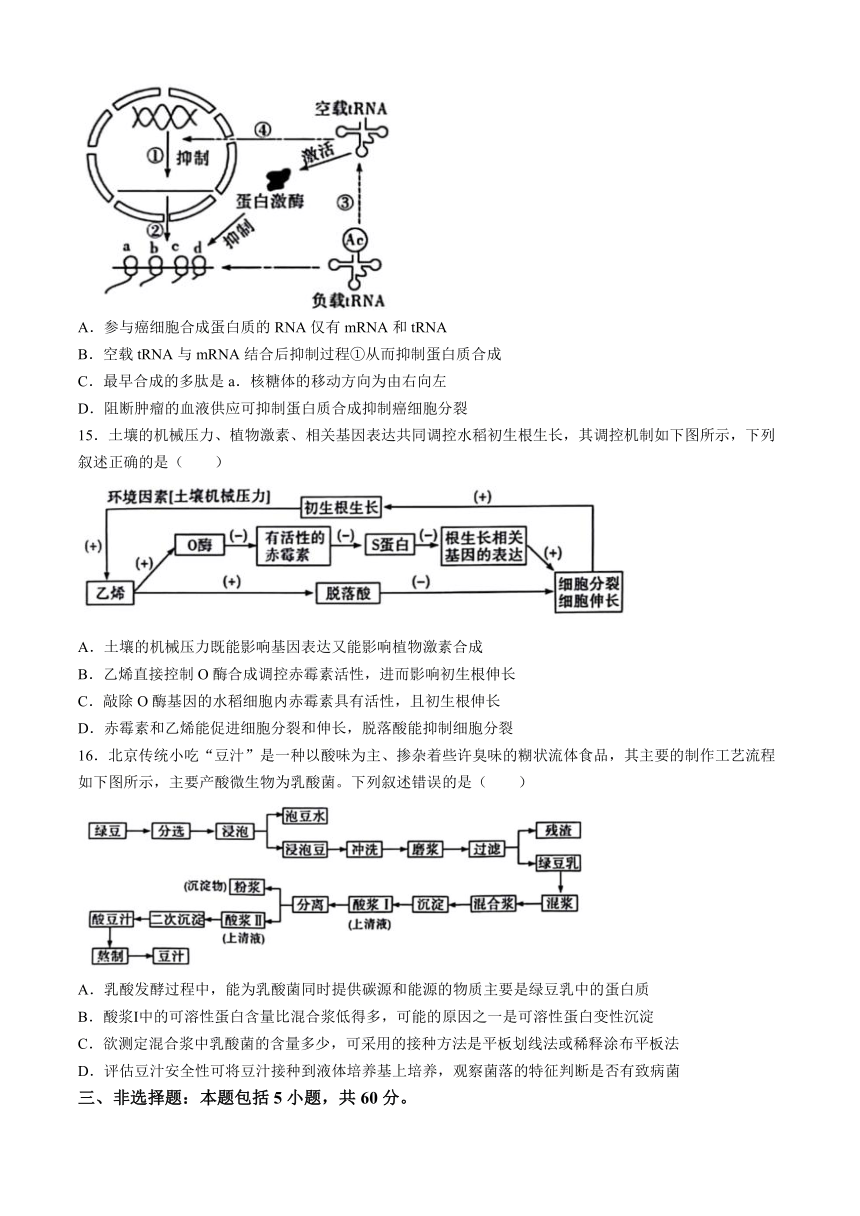 2024年江西省部分学校高三下学期4月教学质量监测生物学试题（含解析）