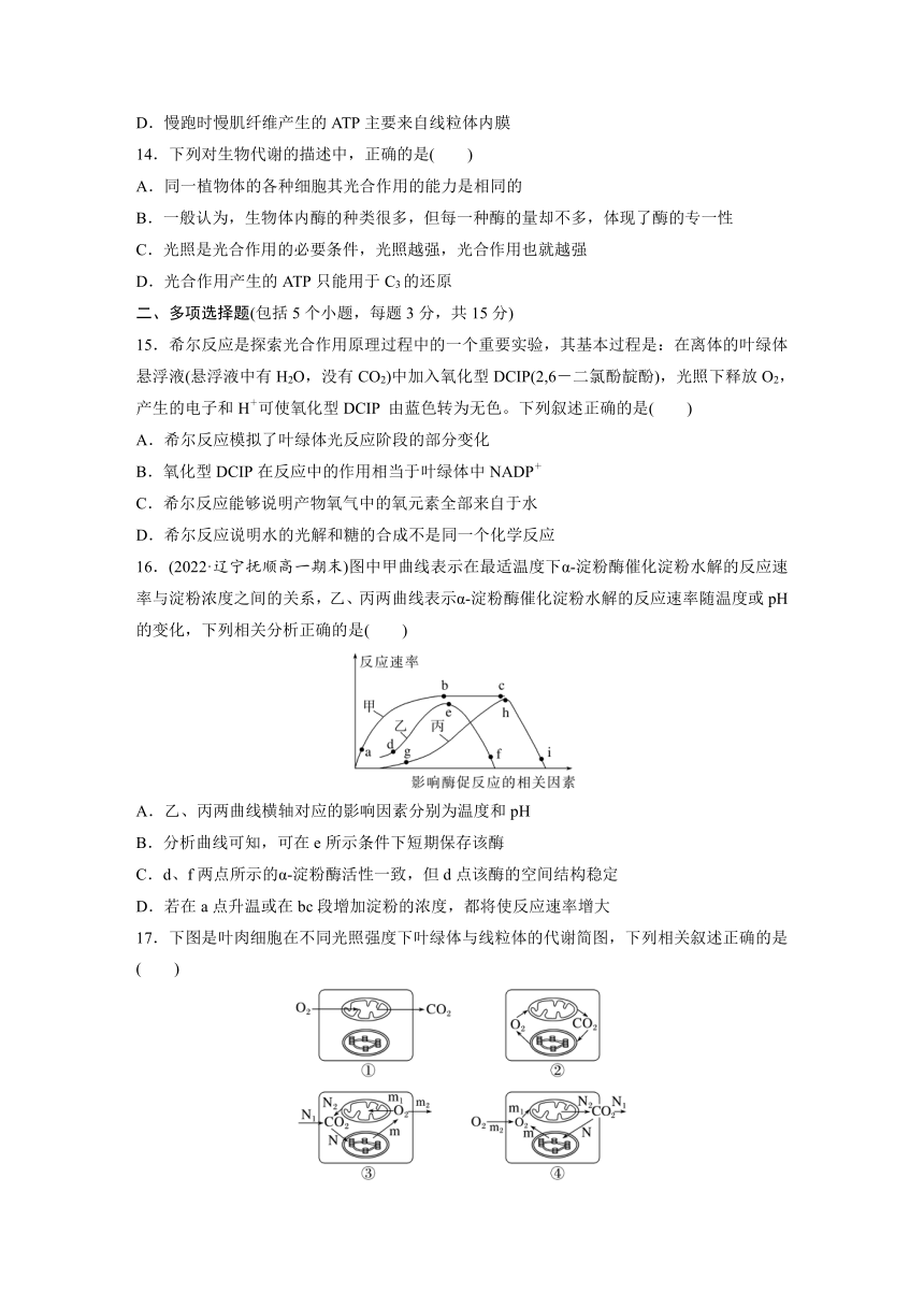 2022-2023学年苏教版2019高中生物必修1 第三章　细胞中能量的转换和利用  章末检测试卷(三)（word版含部分解析）