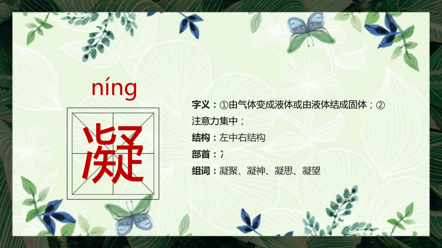 23父亲、树林和鸟 课件 (共22张PPT)