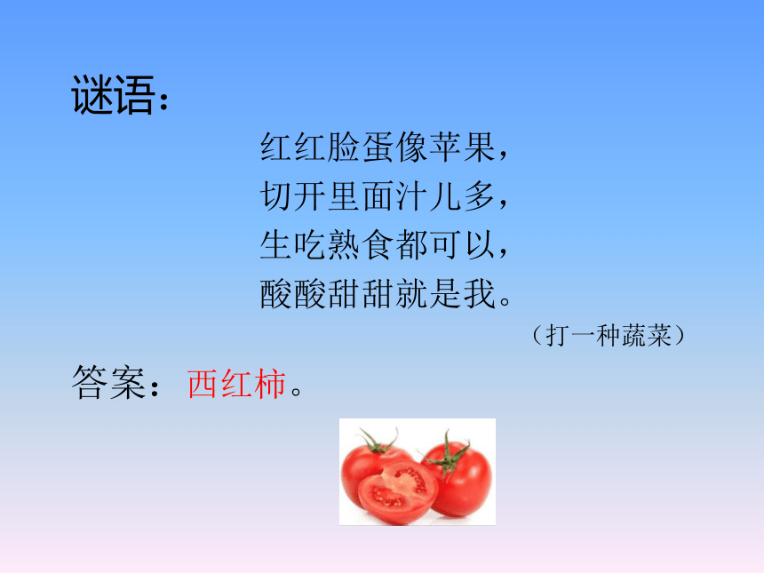 青岛版（五四制2017秋）一年级下册5.15番茄与番茄酱（课件10ppt）
