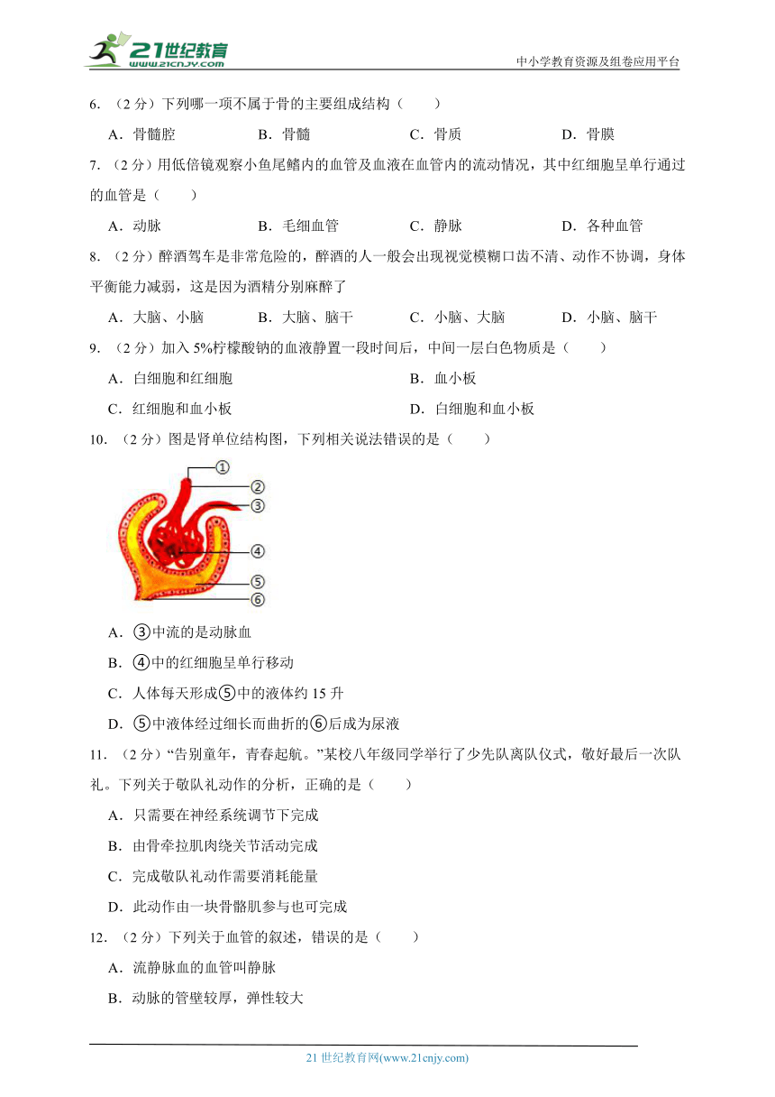 苏科版生物八年级上册期中质量评估模拟检测题（一）（含解析）