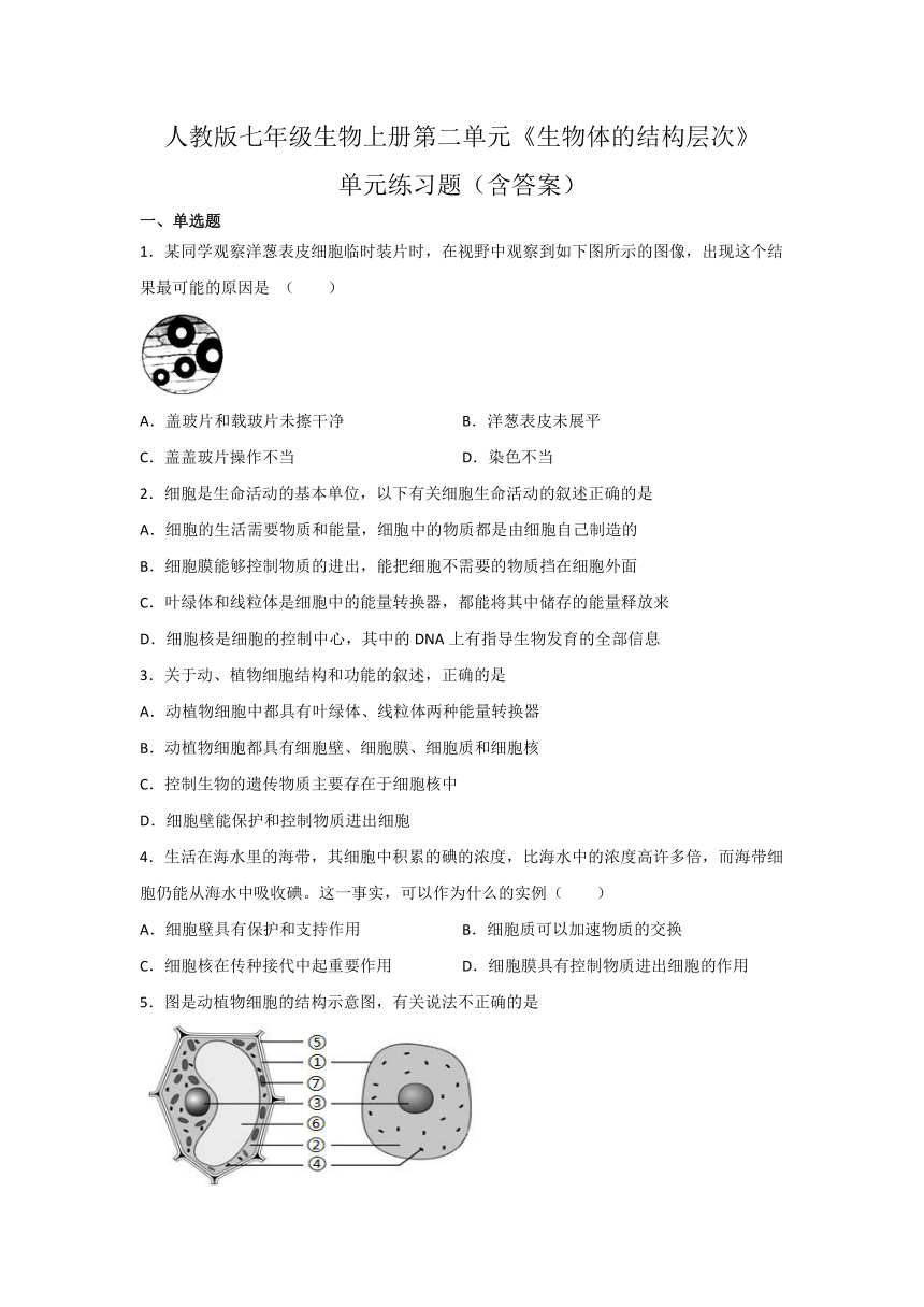 人教版七年级生物上册第二单元《生物体的结构层次》单元练习题(word版含答案）