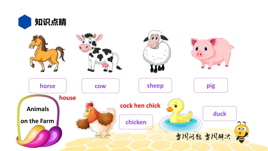 英语四年级【知识精讲】2.单词、词组(2)单词词组——动物（12张PPT）