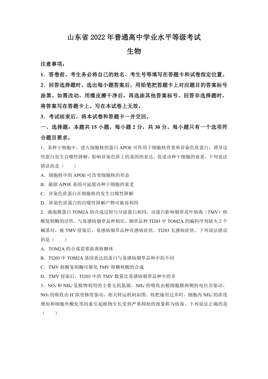 2022年新高考山东卷高考生物真题试卷（Word版，含答案）