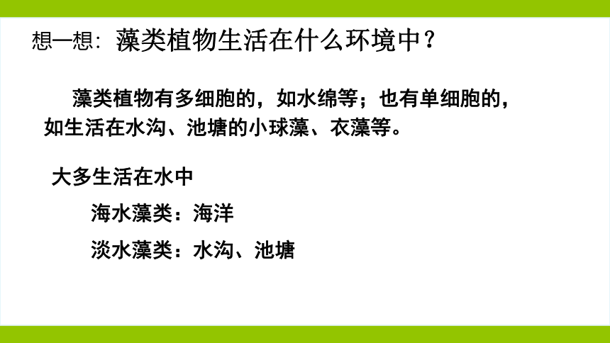 10.2 水中的藻类植物课件（共44张PPT）七年级生物下册（苏科版）