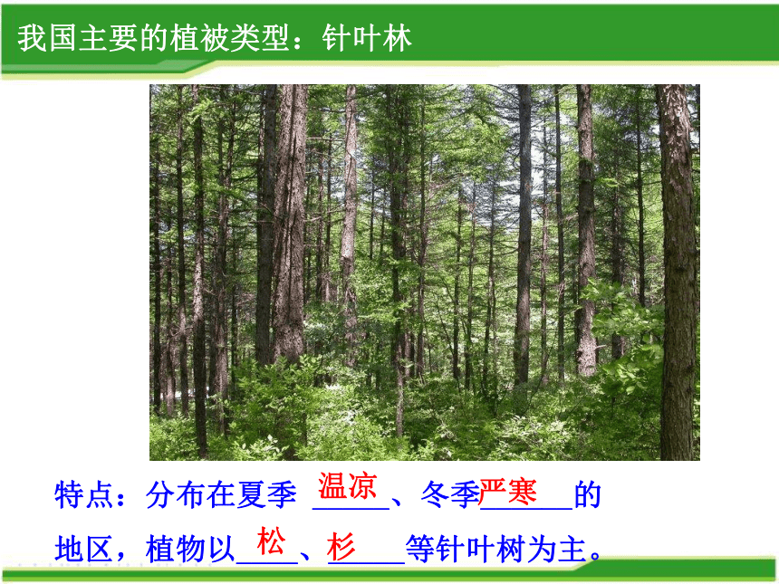 第三单元第六章   爱护植被，绿化祖国  课件(共21张PPT)2022-2023学年人教版生物七年级上册