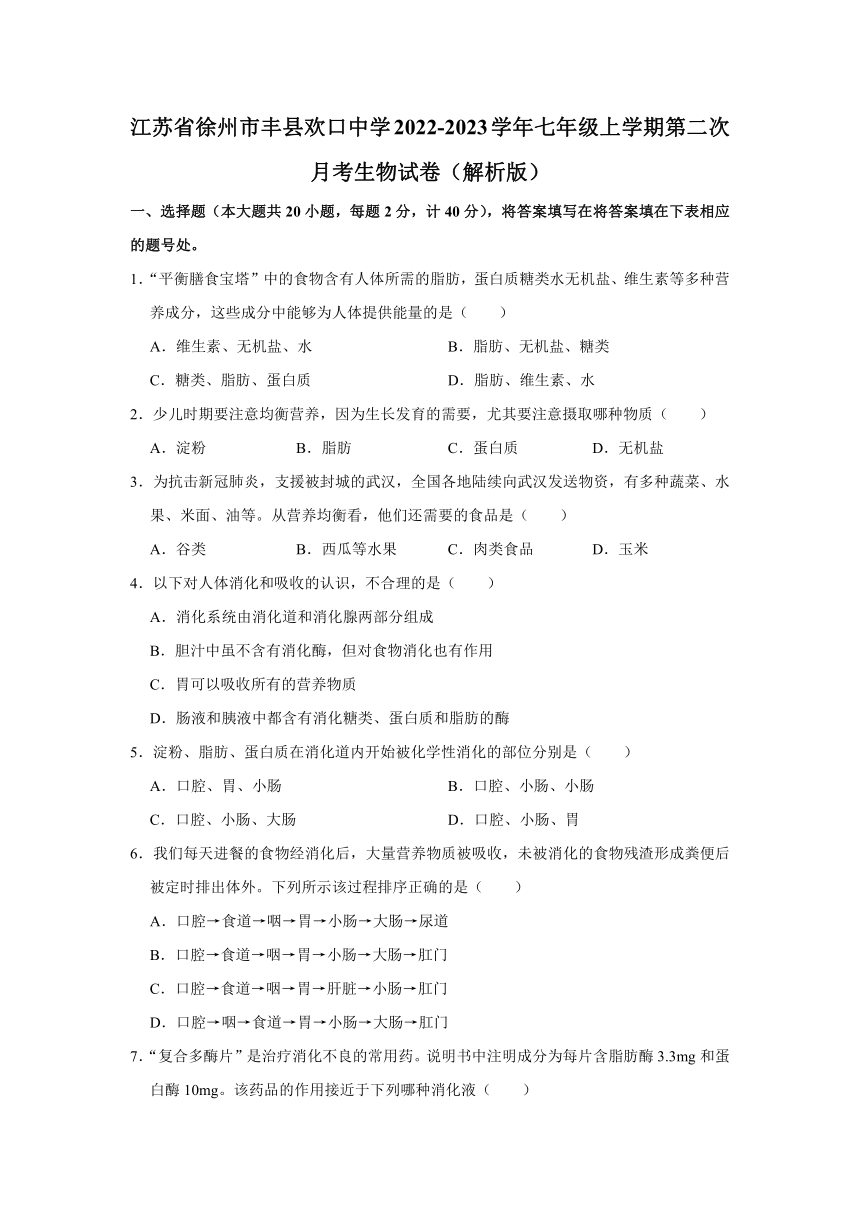 江苏省徐州市丰县欢口中学第二次月考生物试卷（解析版）2022-2023学年七年级上学期