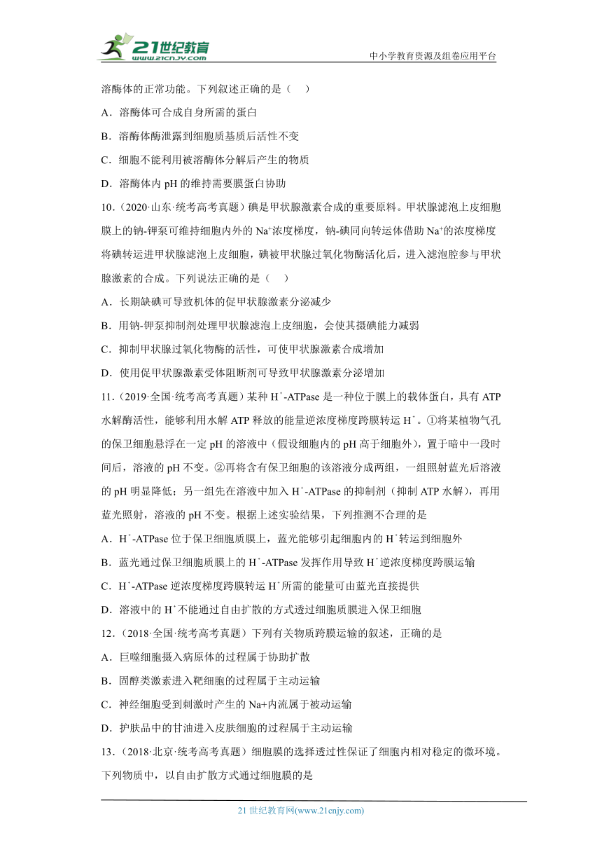 五年2018-2022高考生物真题按知识点分类汇编15-细胞的物质输入和输出-主动运输（含解析）