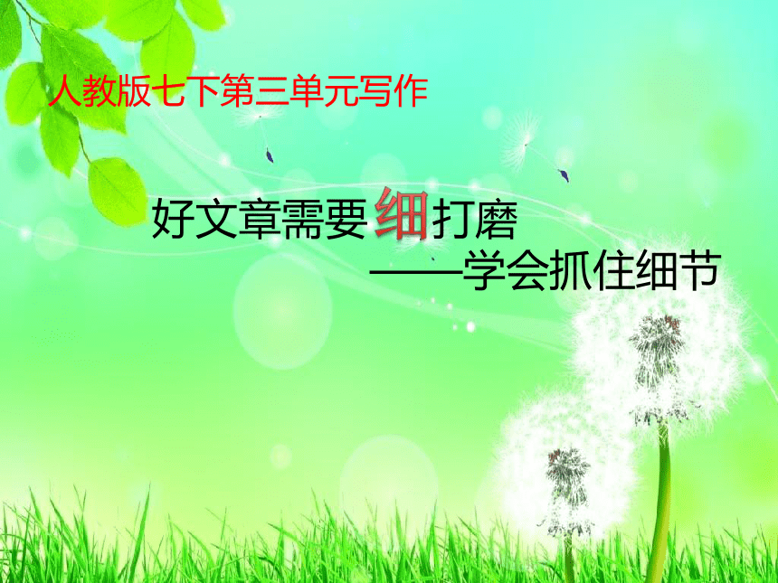 第三单元写作《抓住细节》课件    2022-2023学年统编版语文七年级下册  （共18张ppt）