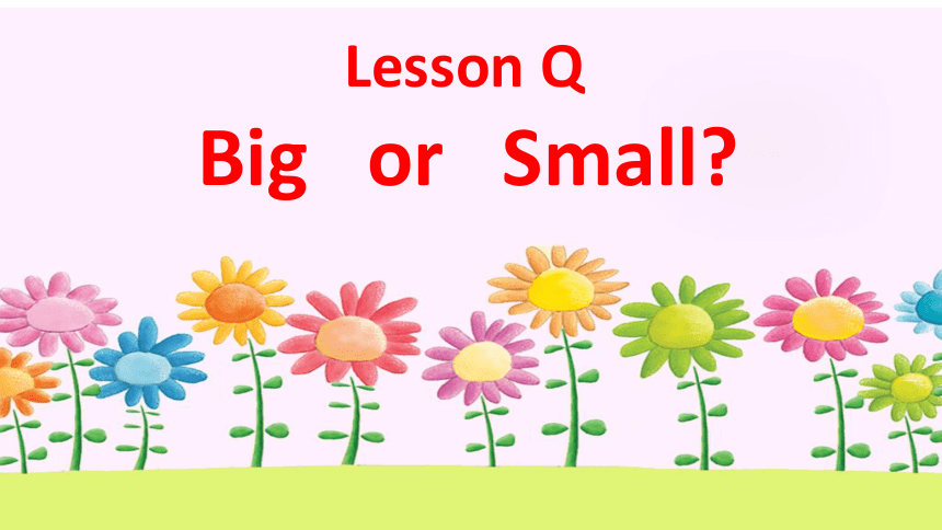 Lesson Q Big or Small课件（25张PPT）
