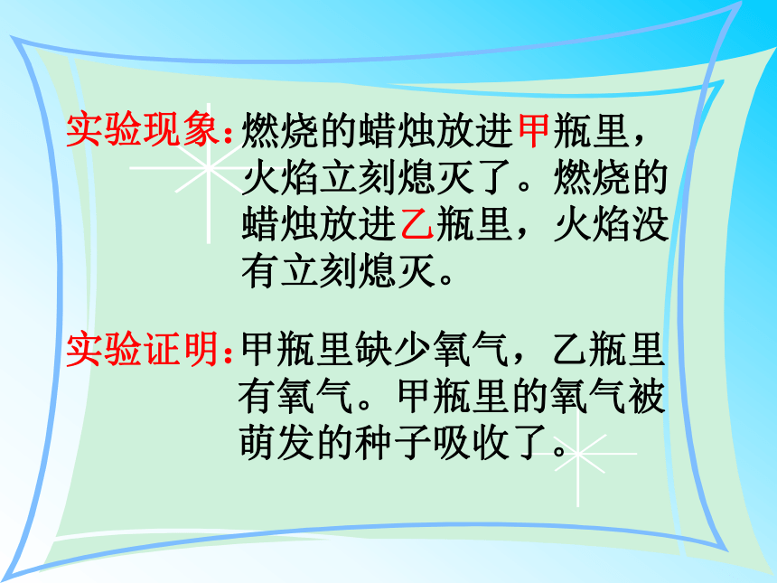 3.5.2呼吸作用课件(共23张PPT)2023--2024学年北师大版生物七年级上册