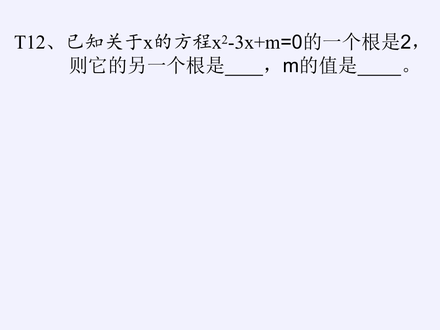 苏科版九年级下册5.4 二次函数与一元二次方程   课件(共17张PPT)