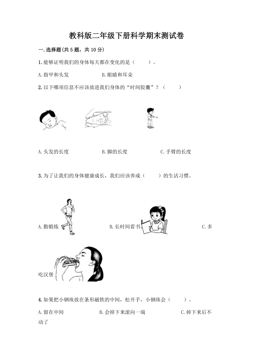 教科版（2017秋）二年级下册科学期末测试卷12（含答案）