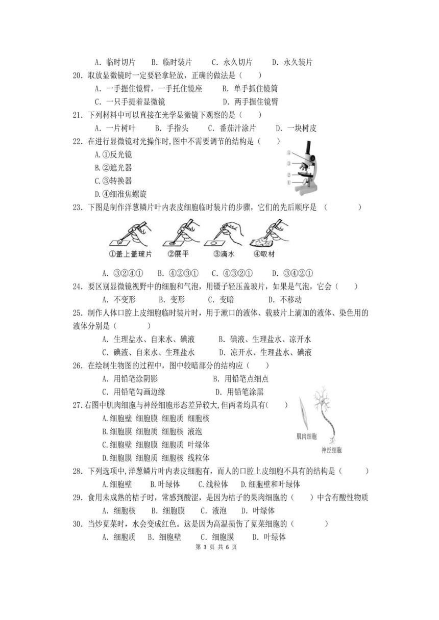 广东省南海区狮山镇2022-2023学年七年级生物11月期中测试题(图片版无答案)