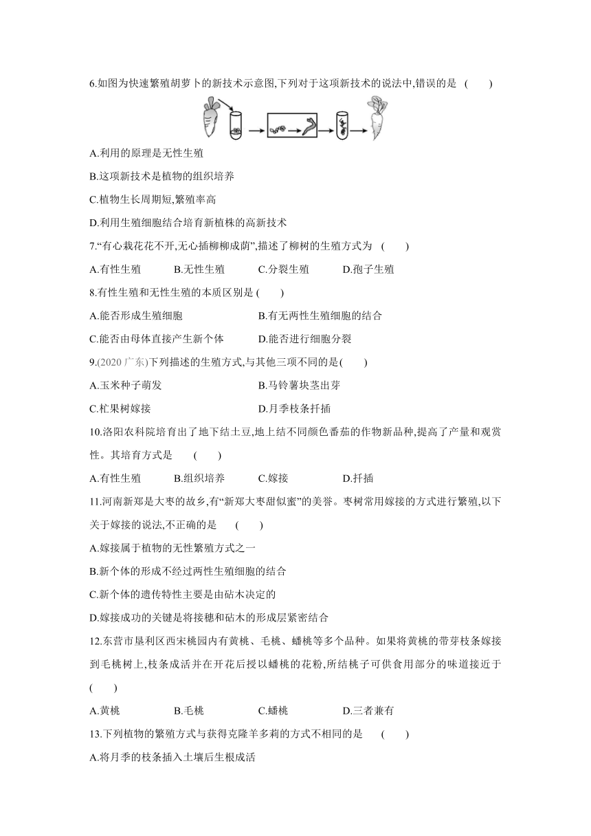 人教版生物学八年级下册同步练习：7.1.1　植物的生殖(word版含答案）