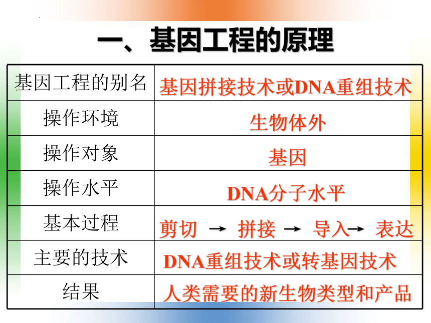 1.1DNA重组技术的基本工具课件（41张ppt）2020-2021学年高二下学期生物人教版（2019）选修3