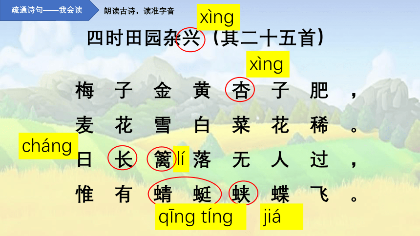 语文四年级下册1 古诗词三首 四时田园杂兴（其二十五） 课件(共23张PPT)