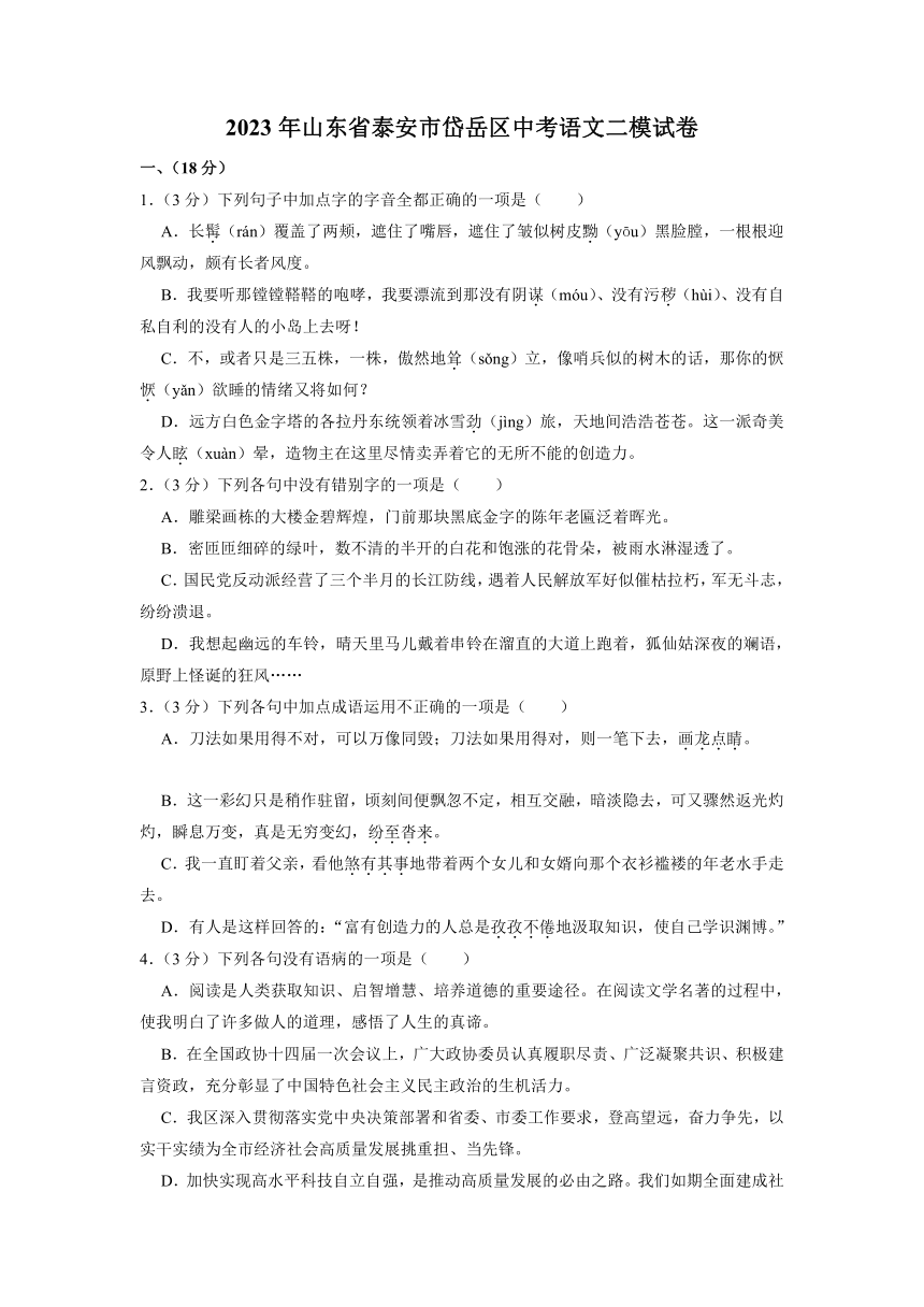 2023年山东省泰安市岱岳区中考二模语文试卷（含答案）