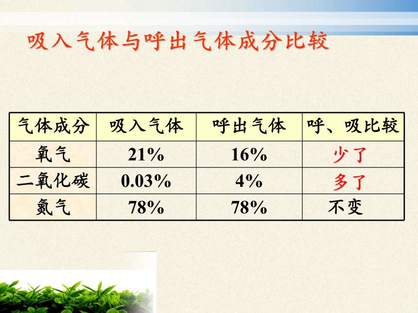 苏教版生物七年级下册 第十章 第四节 人体内的气体交换课件(共13张PPT)