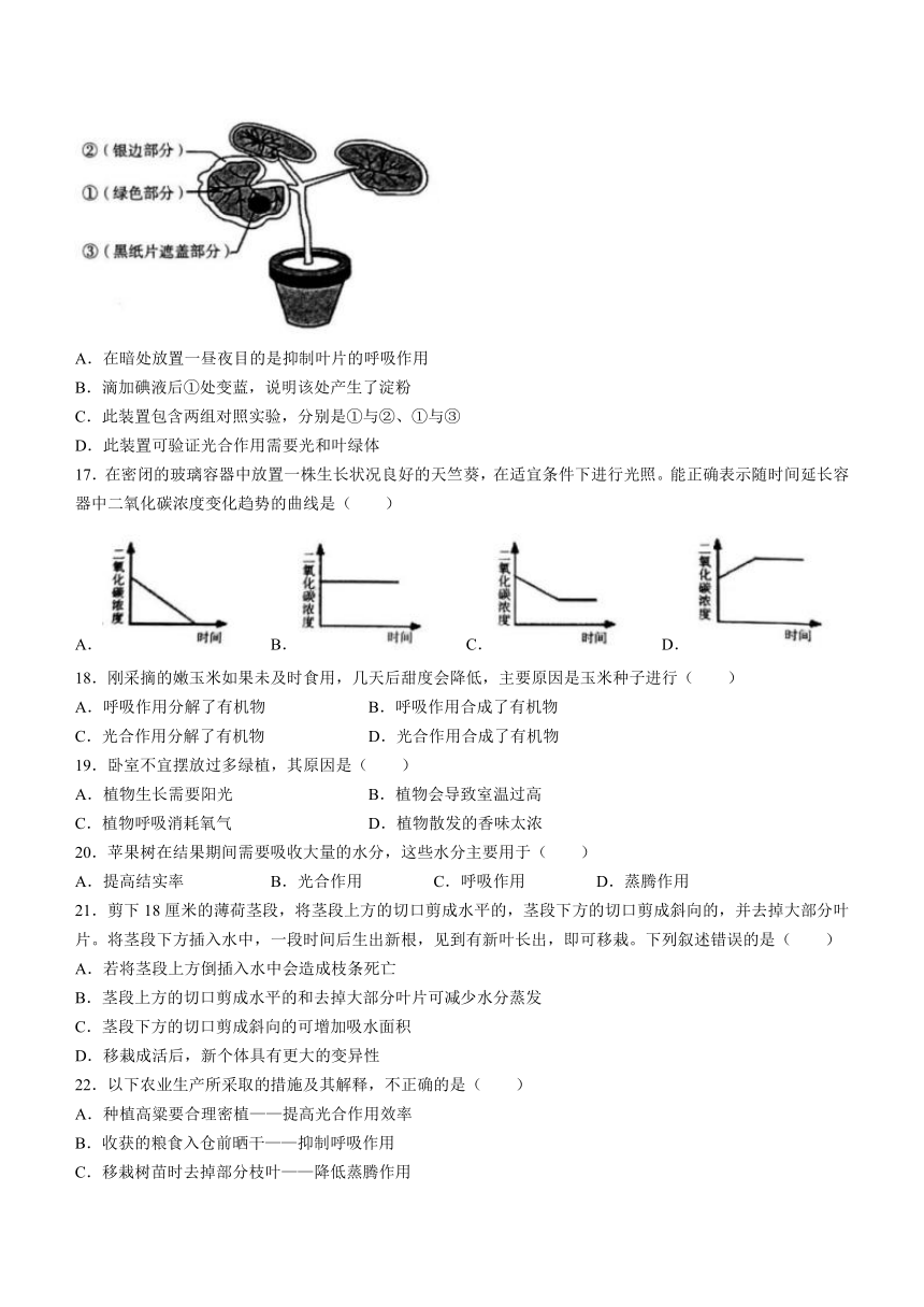 广东省揭阳市空港经济区2021-2022学年九年级上学期期中生物试题（word版 含答案）