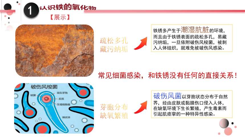 3.1.2 铁的氧化物 氢氧化物-高一化学课件（人教版2019必修第一册)（共28张ppt）