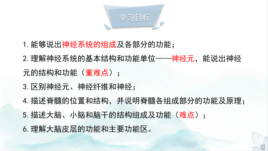 3.5.2神经调节的结构基础课件（共21张PPT）2022-2023学年济南版生物七年级下册