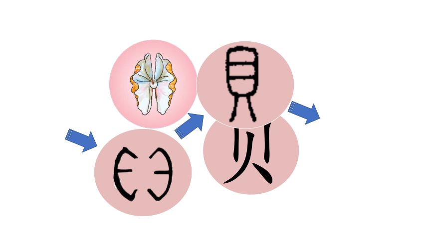 3 “贝”的故事 （课件）(共24张PPT)