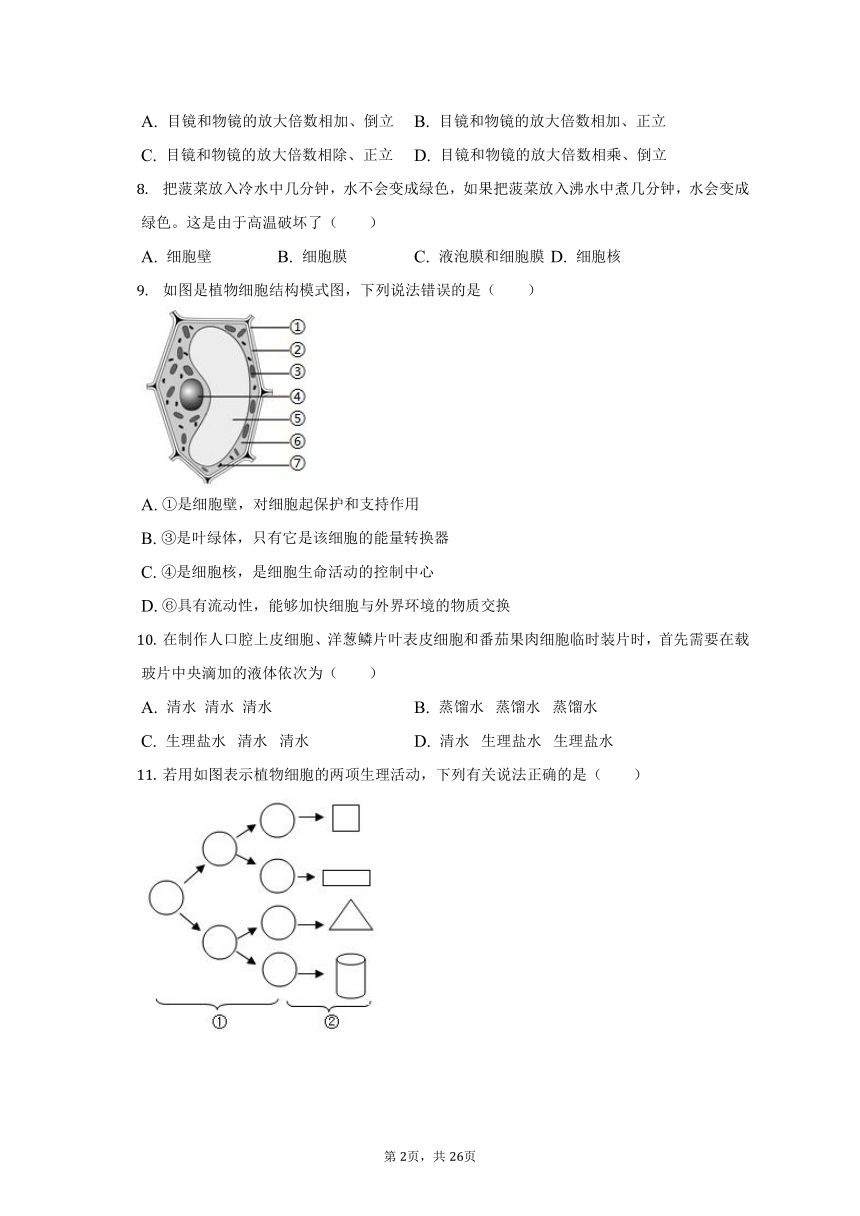 2022-2023学年山东省滨州市阳信县七年级（上）期中生物试卷（含解析）