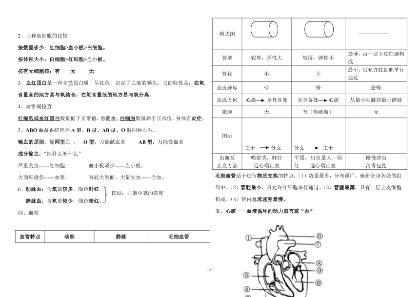 2021-2022学年北师大版七年级生物学下册 总复习资料（word版 ）