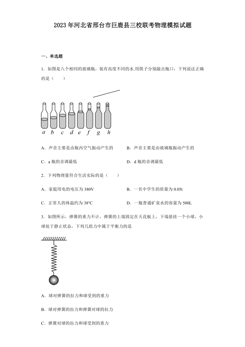 2023年河北省邢台市巨鹿县三校联考中考物理模拟试题（有解析）