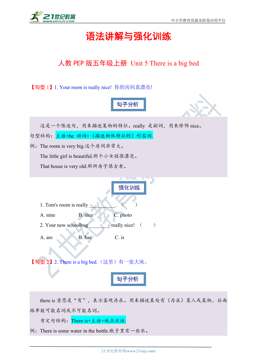 人教PEP版五年级上册语法讲解与强化训练 Unit 5 There is a big bed（含答案）