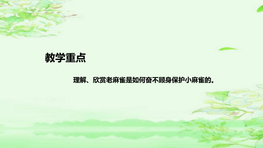 16《麻雀》说课课件(2课时 共45张PPT)