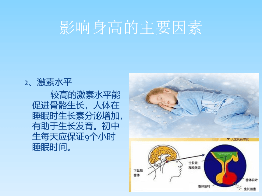 人教版八年级体育与健康《科学发展体能》课件 (28张PPT)