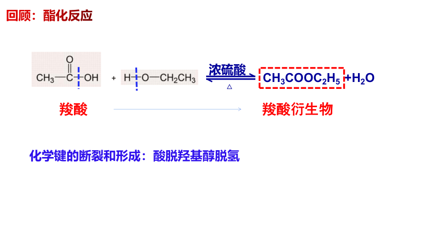 3.4.2 酯-高二化学课件(共16张PPT)（人教版选择性必修3）