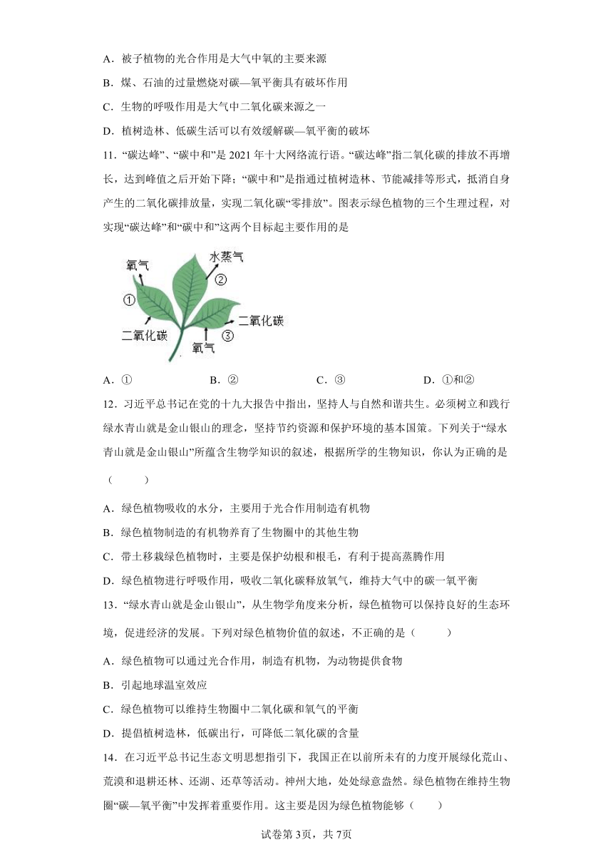 第三单元 第五章 绿色植物在生物圈中的作用 精品练习 冀教版八年级生物上册  (word版含答案）