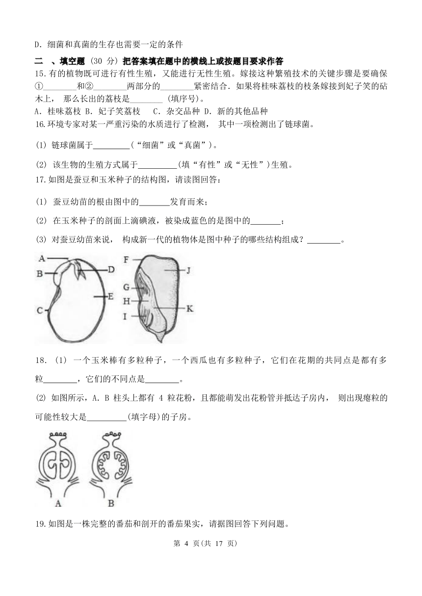 第7章 植物和微生物的生殖与发育单元练习（含答案）