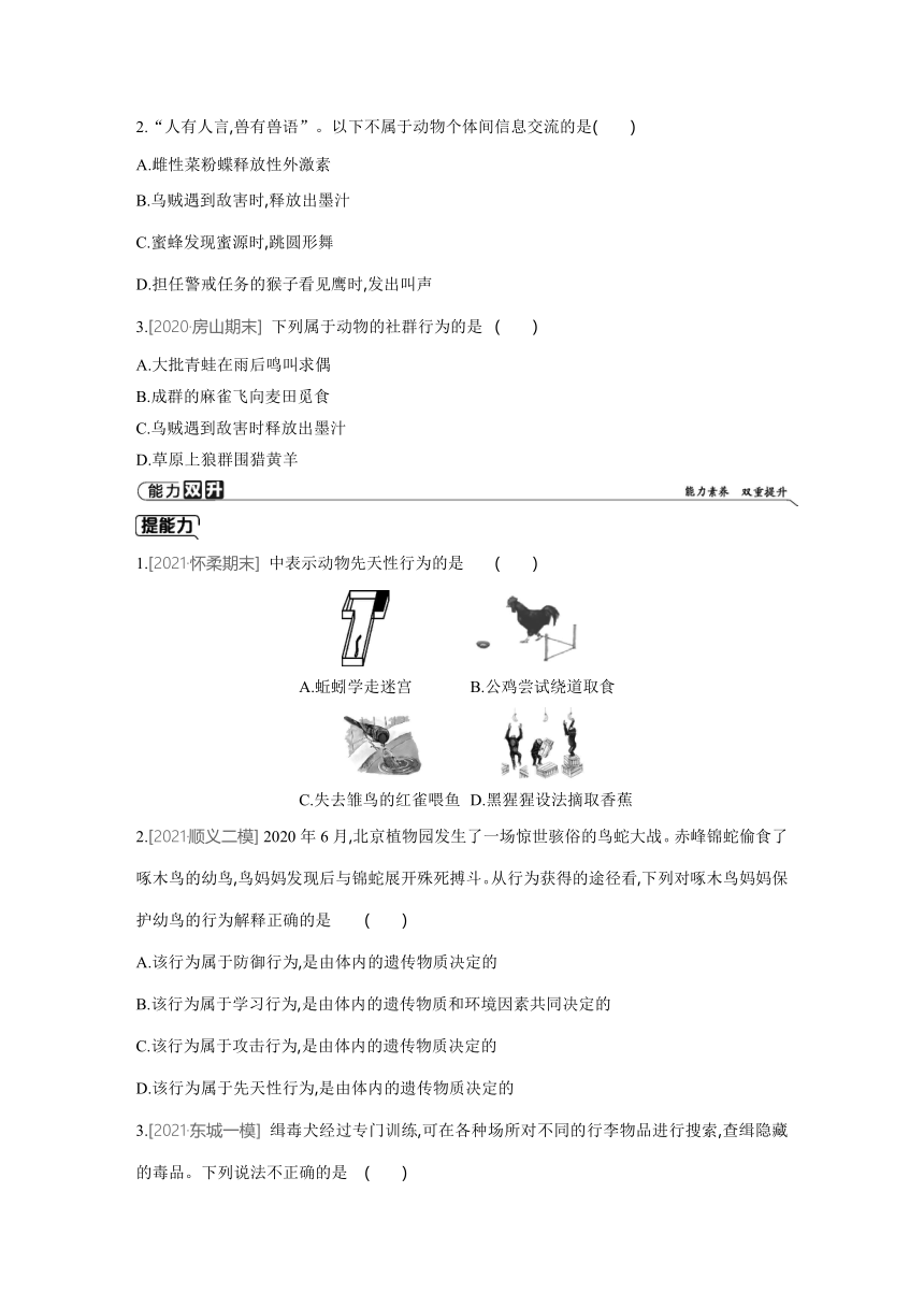 北京版生物学八年级上册同步练习：9.2　动物的行为(word版含答案）