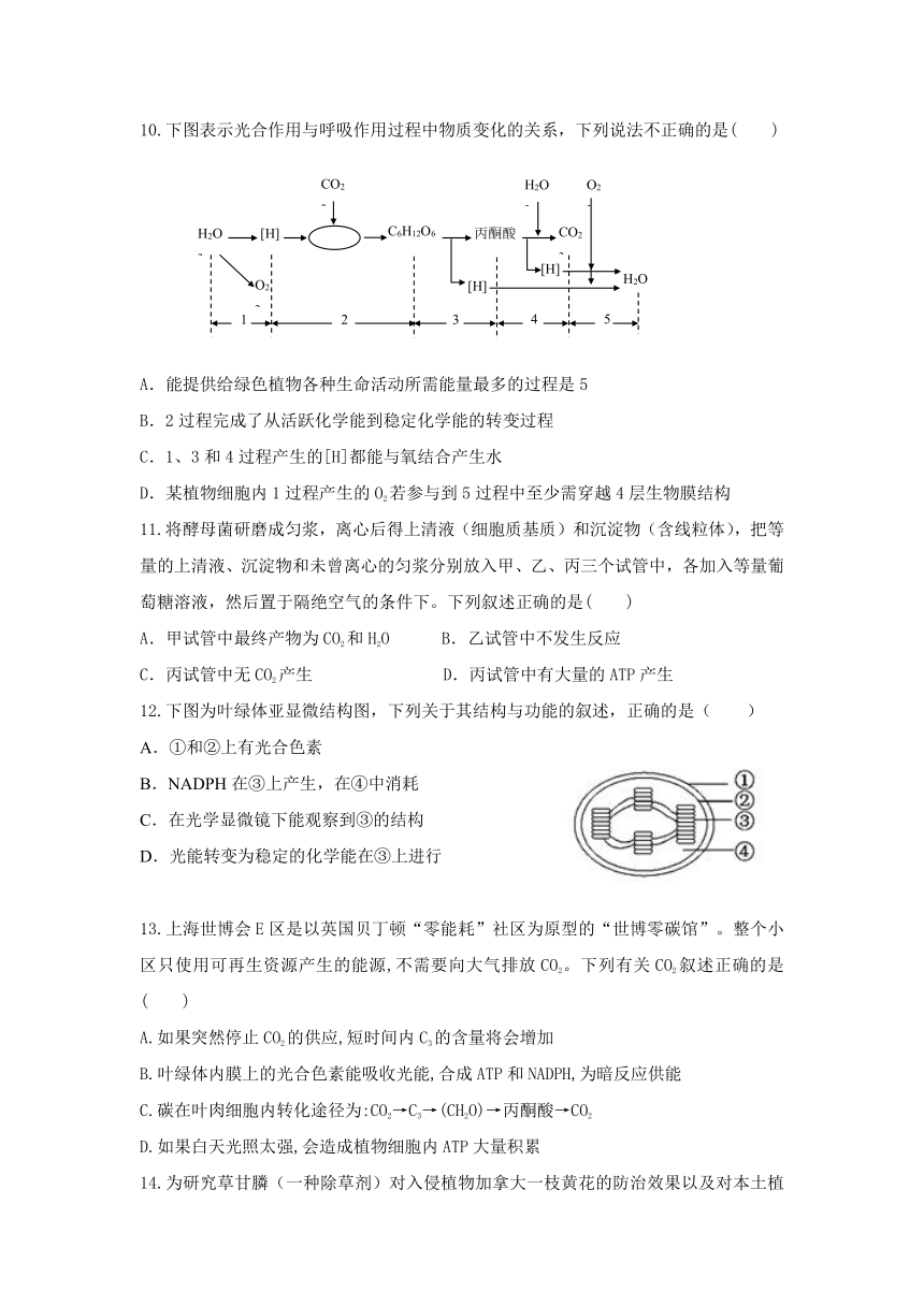 福建省莆田第二十五中学2020-2021学年高一下学期期中考试生物试题 Word版含答案