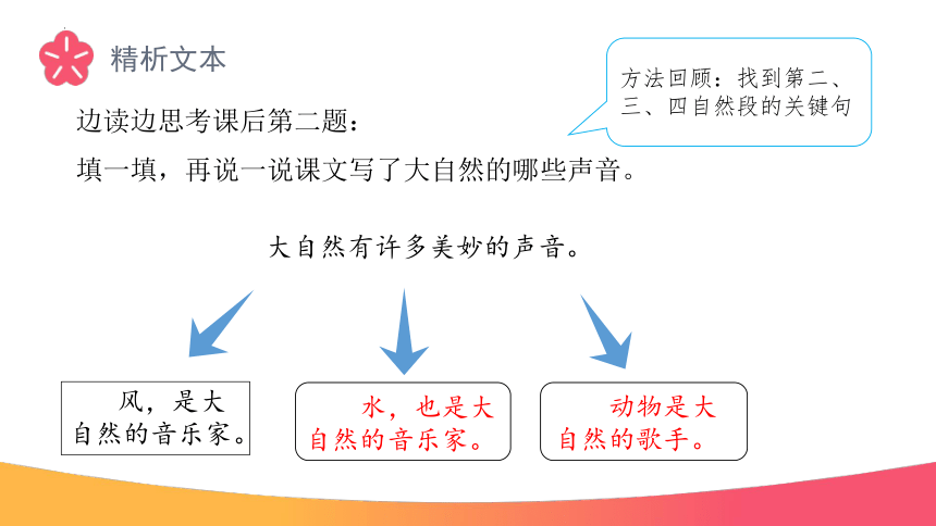 21 大自然的声音 课件(共24张PPT)