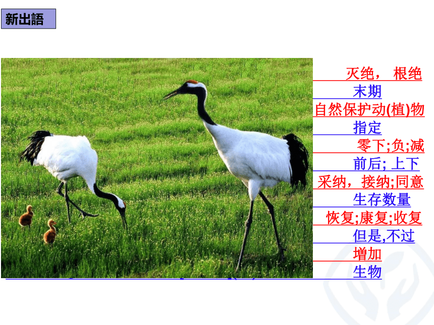 第8課 タンチョウの保護 课件（43张）