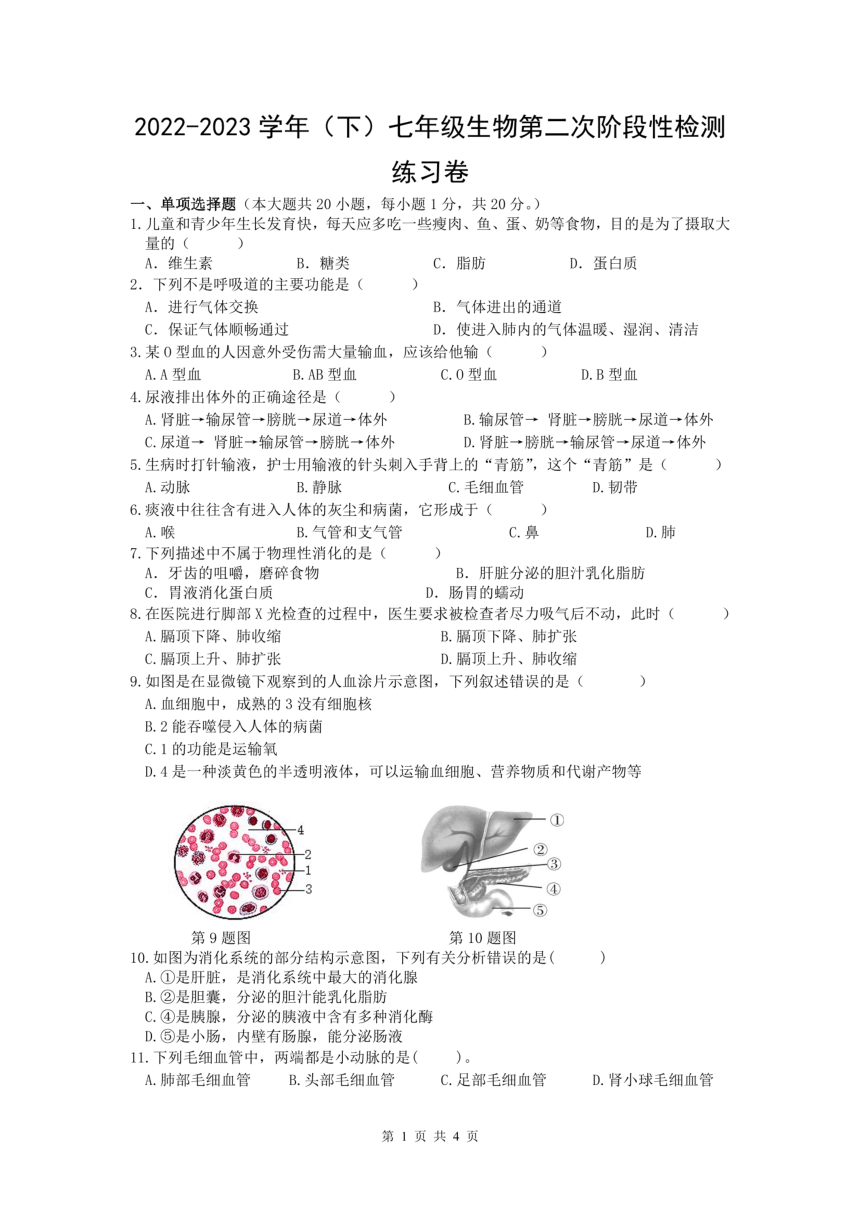 江西省吉安市第二中学2022-2023学年七年级下学期第二次阶段检测生物试卷（PDF版无答案）