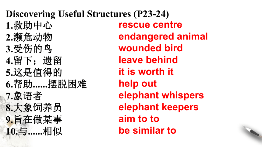 人教版（2019) 必修第二册Unit 2 Wildlife Protection Discovering useful structures 课件-（27张ppt)