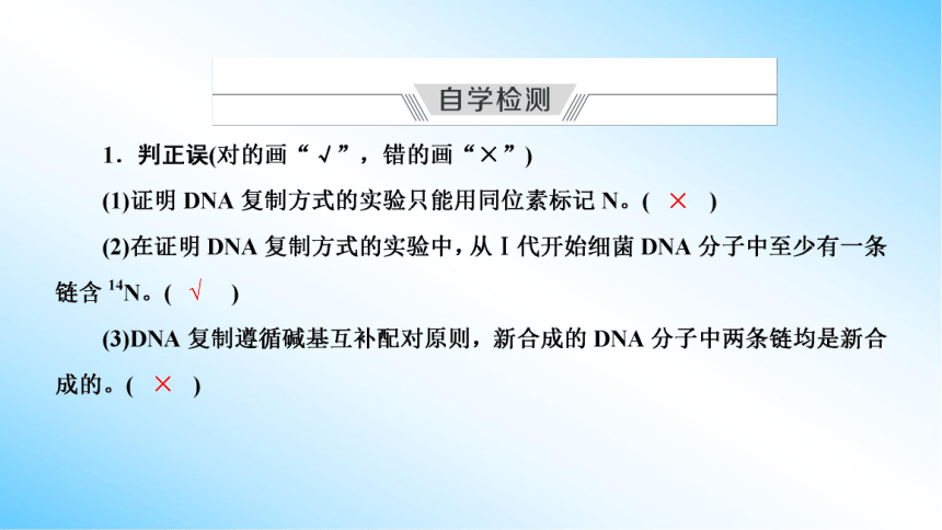 【课件版学案】3-3 DNA的复制 第4节　基因通常是有遗传效应的DNA片段  人教版2019必修2(共61张PPT)